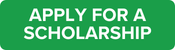 Landing Page Button - Scholarship
